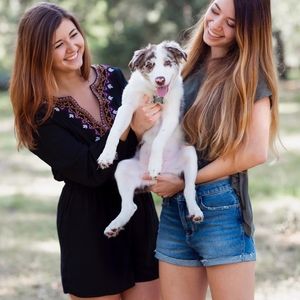 Meet your Posher, Laura